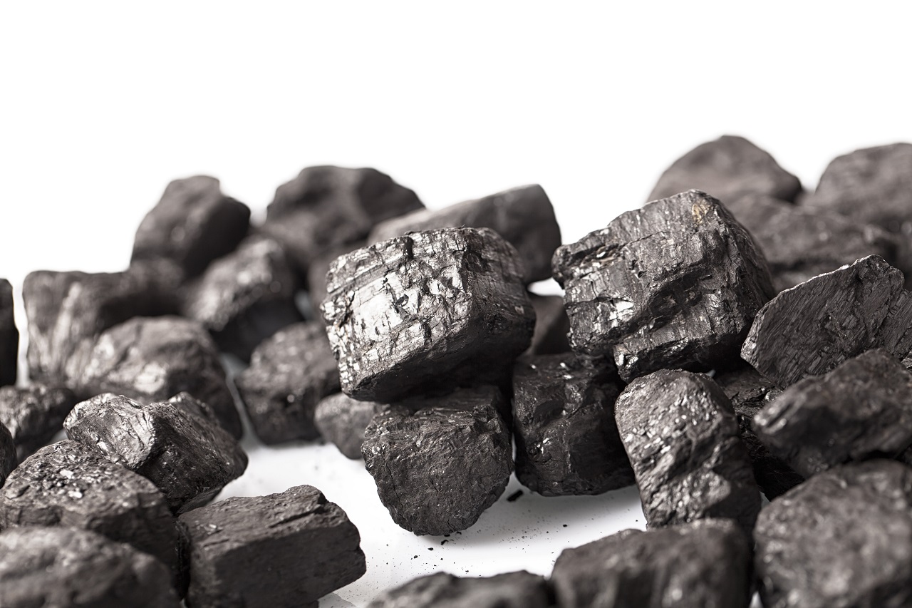 Wszystko co musisz wiedzieć o węglu groszkowym